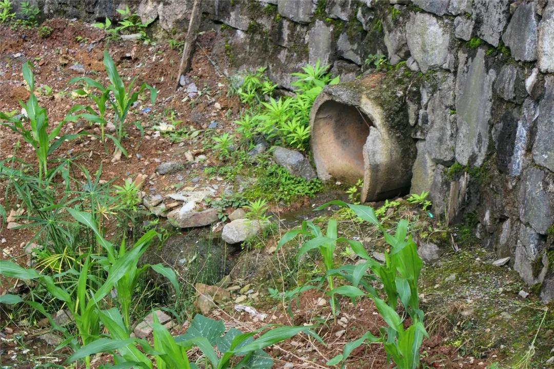 守护美好生活酉阳,守护美好生活从一份保障开始