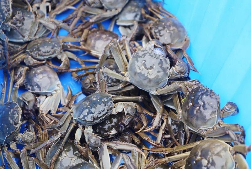 昆山巴城羊绒大衣大卖场怎样走,巴城双面羊绒大衣最好的批发市场