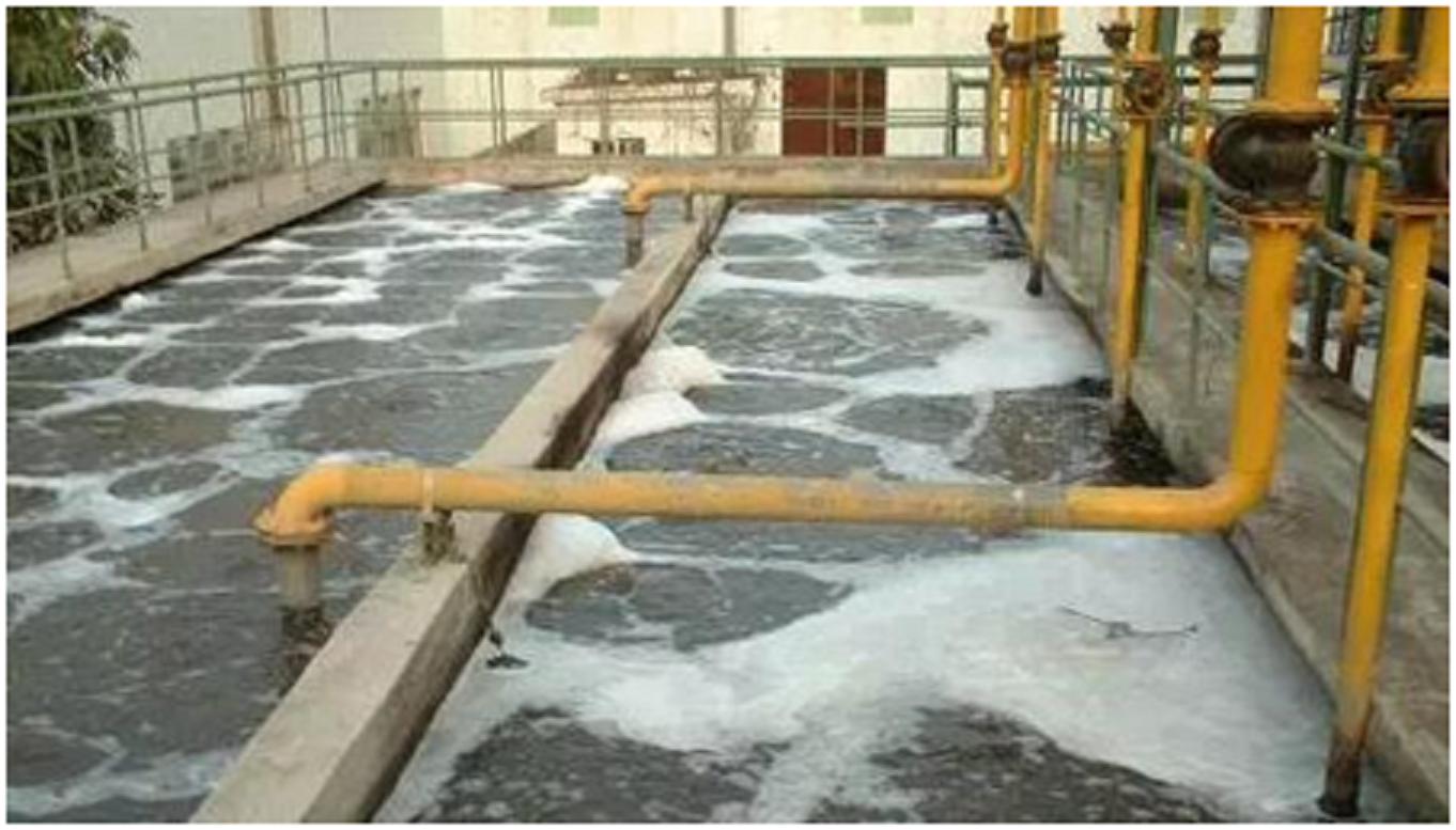 鑸屽皷涓婄殑瀹夊叏姘磋В铔嬬櫧 (鐗涘ザ涓殑鐨潻姘磋В铔嬬櫧)