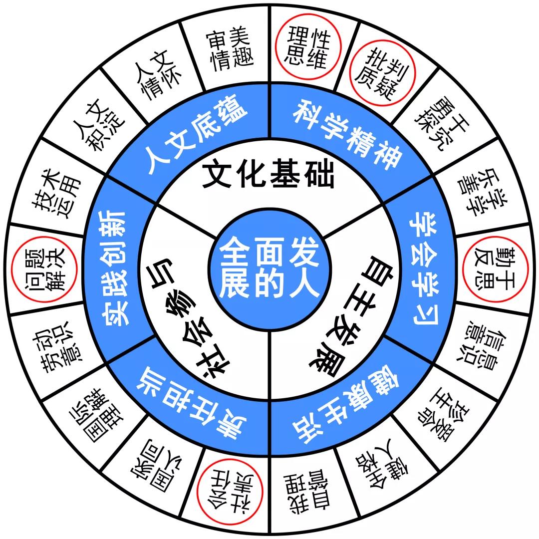关于你理智追星的作文,理智追星作文800字议论文免费