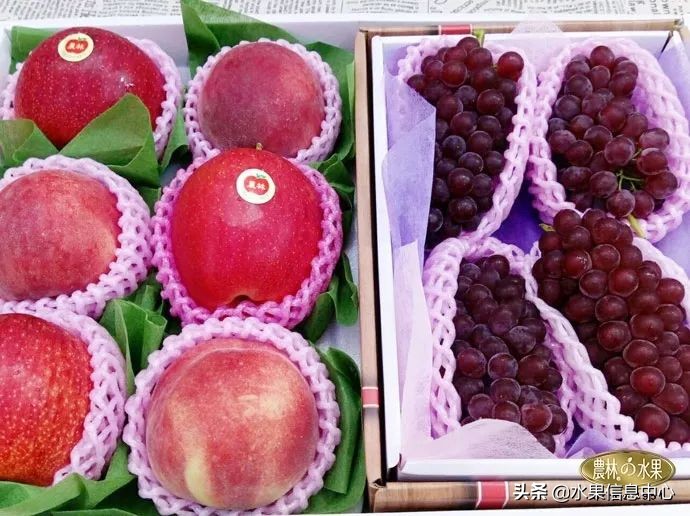端午节和什么水果搭配,湖南端午节水果礼盒搭配