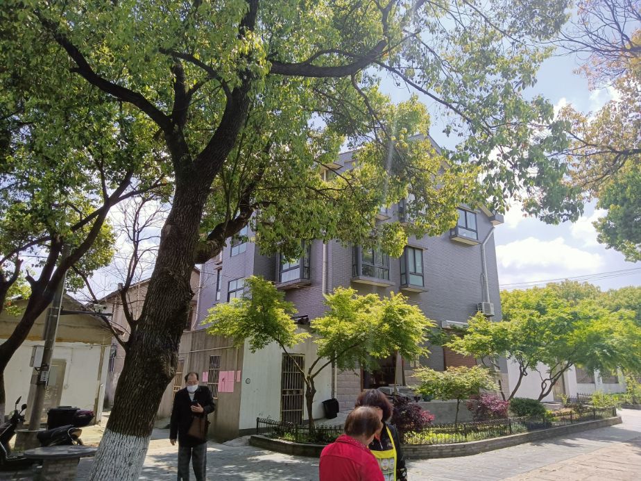 金泽古镇成善坊,上海古镇金泽桥