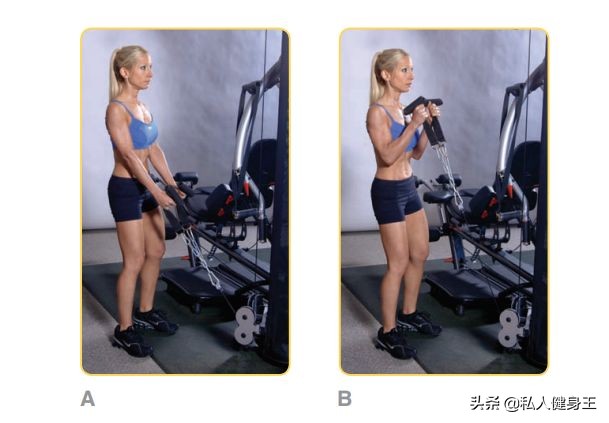 健身房各种器械正确使用方法视频,健身房新手器械力量训练顺序