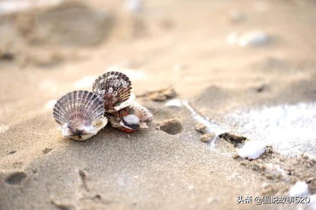 大海和沙漠之间的地方,大海和沙漠相接的地方