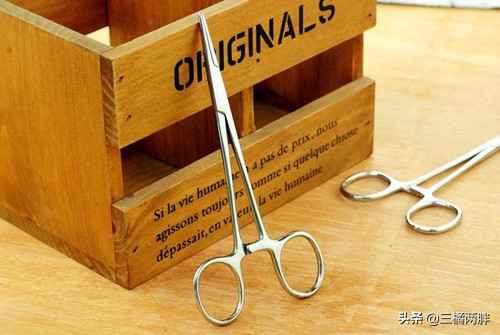 养小比熊要注意事项有哪些,养小狗比熊的分享经验