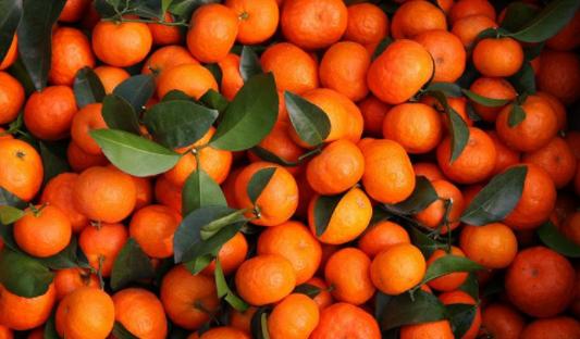 游四方全部视频,游四方四川