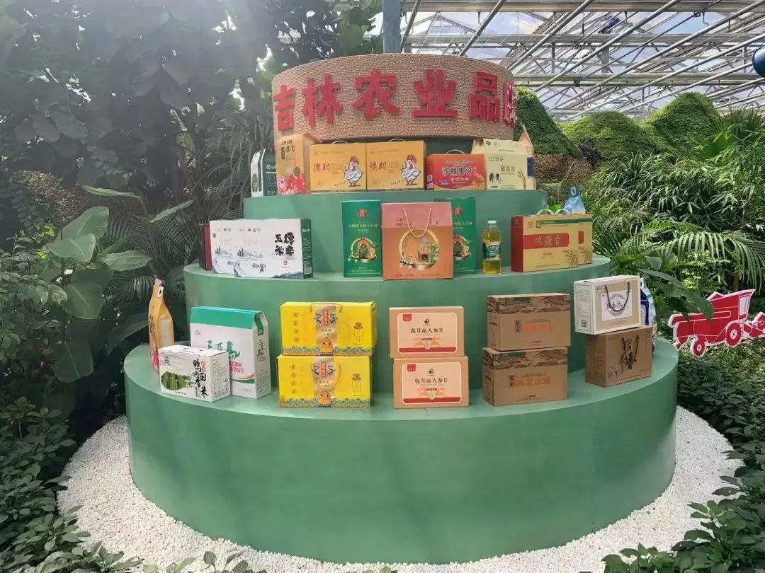 吉林车标志,吉林卫视标志