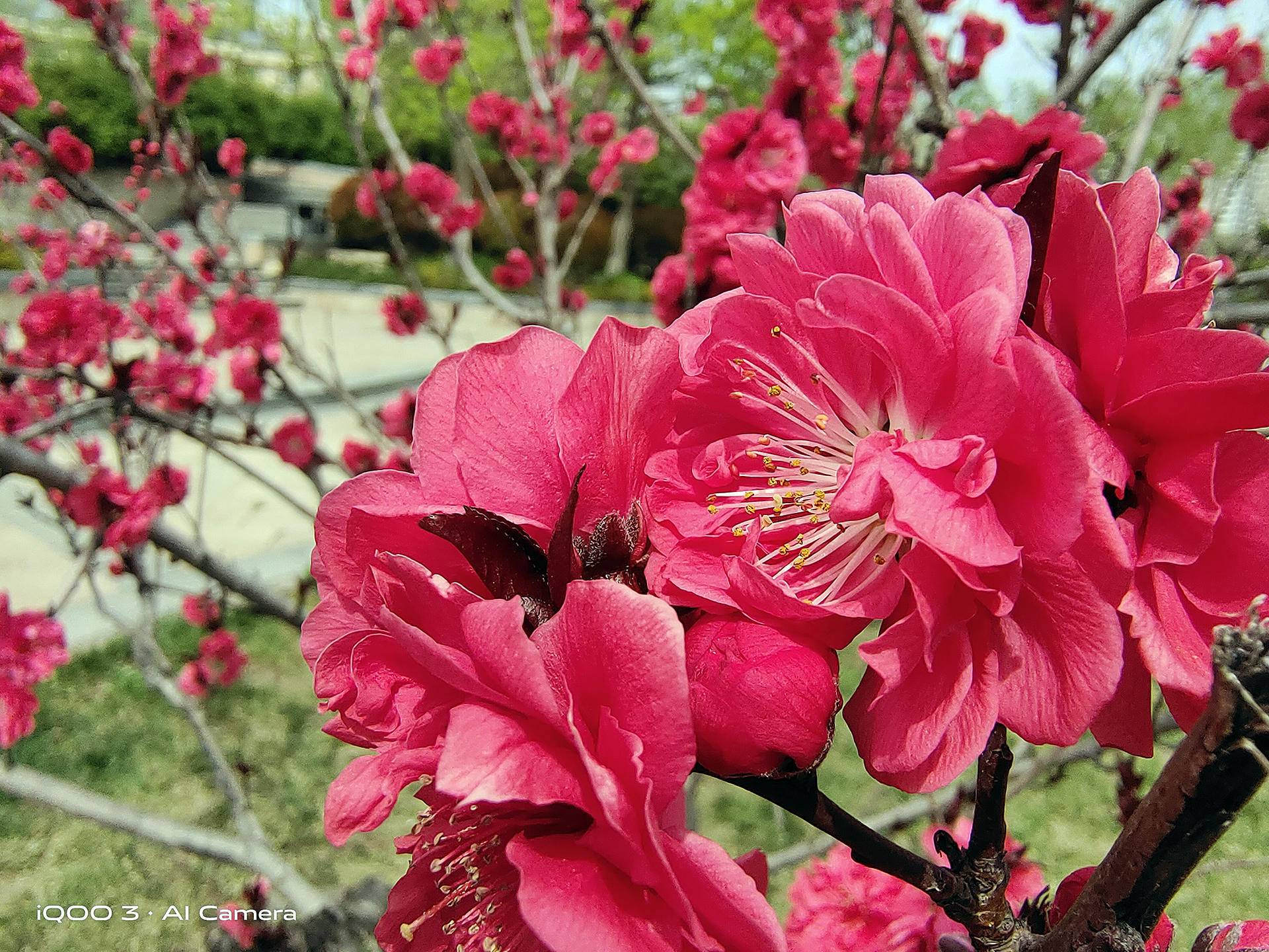 iqoo3使用感受,iqoo3使用体验