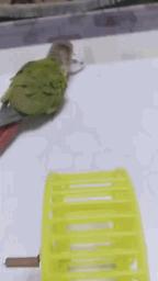 想学习凉拌菜的朋友有福了，无偿把技术传授给您，希望您能成功