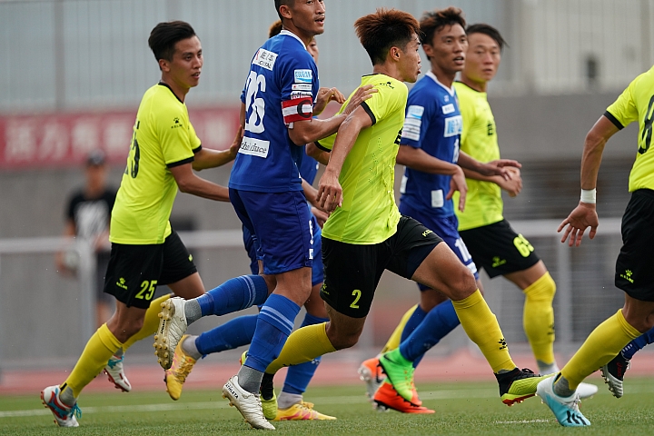 索尼fe50mmf2.5gm测评,索尼fe24f1.4gm大师镜头评测