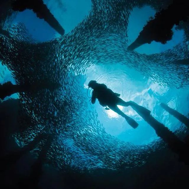 鏋佽嚧鏃呰浣撻獙,鏃呰鏋佽嚧浣撻獙