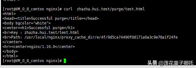 缓存架构系统就谈多级缓存，可我就知Redis！nginx缓存代理助提升