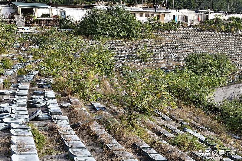 重庆力帆足球最近的消息,重庆力帆足球俱乐部现状