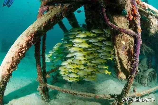 仙本那旅游攻略,去仙本那的攻略