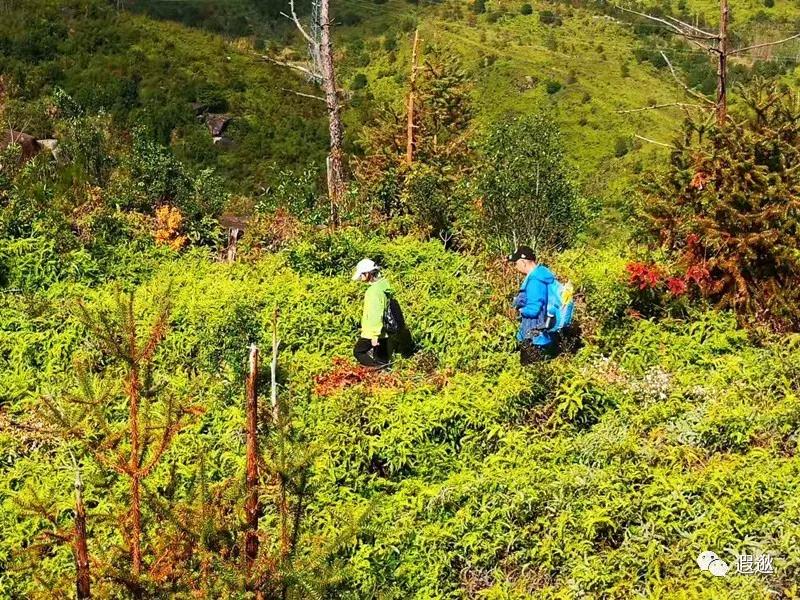 温州居然有这么美的小众景点,温州青龙山风景区在哪里