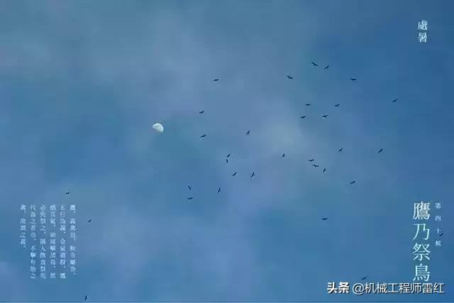 处暑季节里的处暑是啥意思,处暑跟除暑一个意思吗