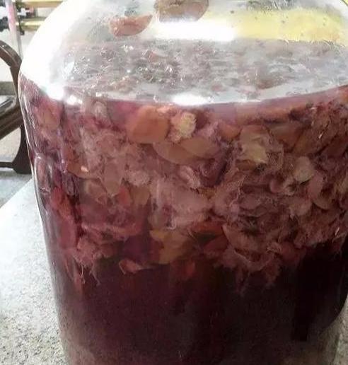 葡萄酒做法自酿全过程7天,三分钟了解葡萄酒的酿造全过程
