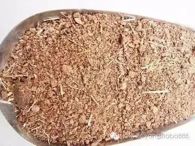 对虾养殖方法及注意事项,对虾养殖出现大小虾怎么管理