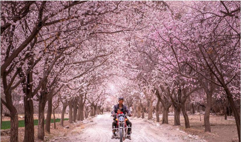 疫情过后再去看看风景,疫情结束后的人间仙境