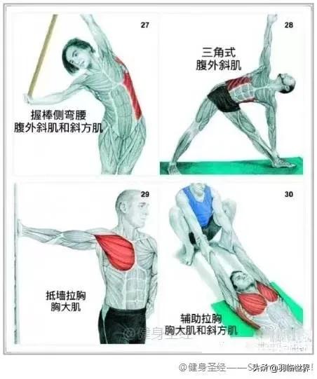 打完球拉伸的原理,打完球为什么要拉伸