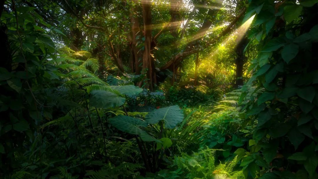 云南抚仙湖绝美风景,云南人少地方美