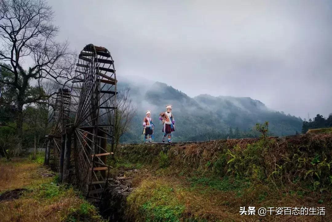 广西低调小城竟然藏了个小奈良,广西有座低调的养老小城