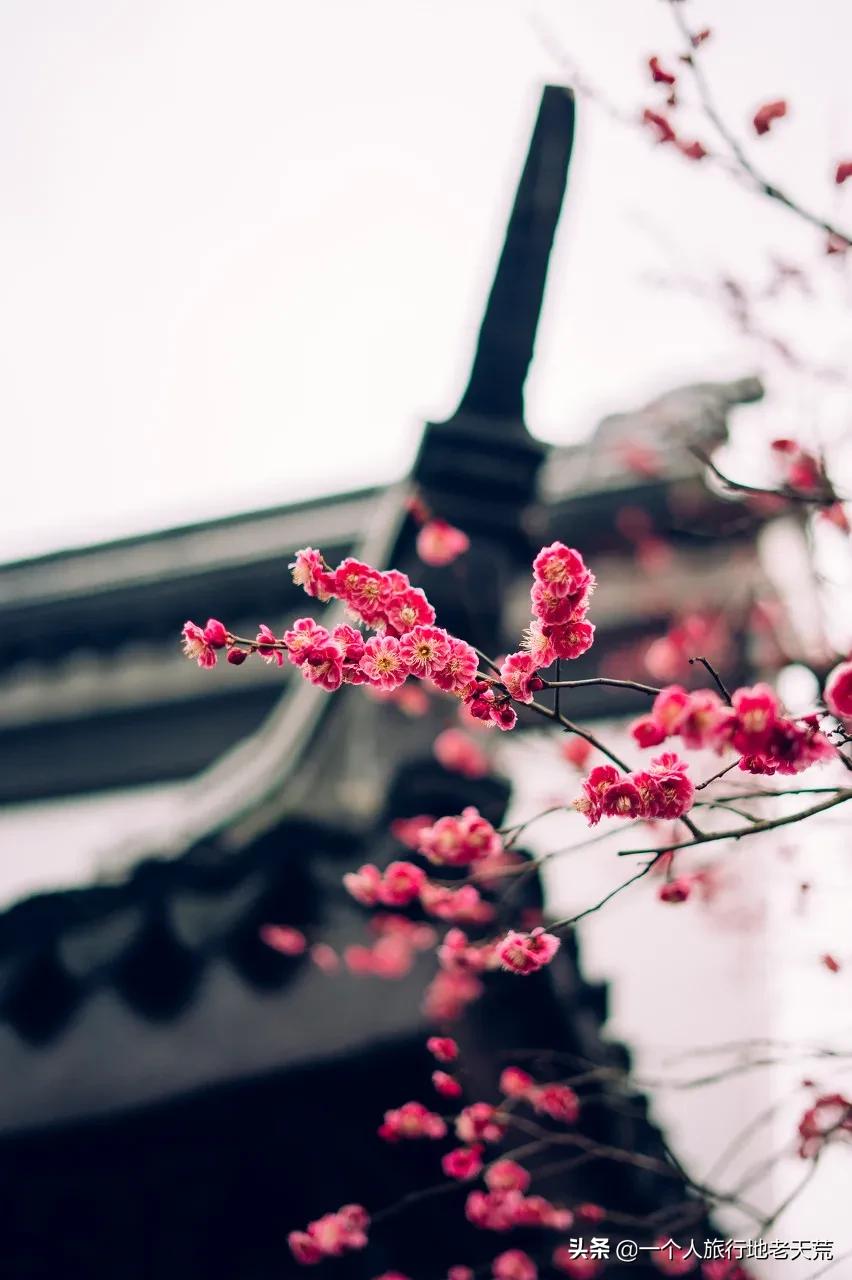 江苏这个“快乐”的城市,颜值不输苏杭,连苏东坡都在这养老