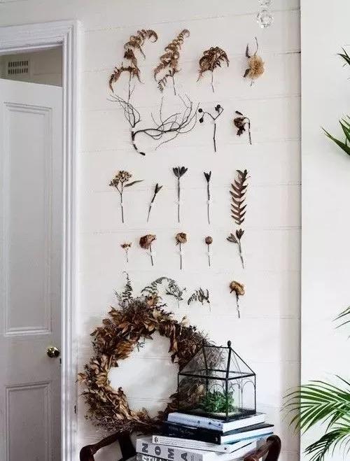 她用这种高颜值的干花装饰家里,隔壁邻居都惊叹不已