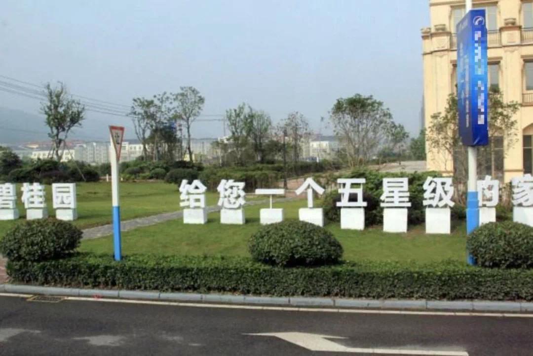 碧桂园业绩现状,碧桂园巨额亏损的原因