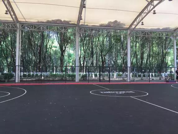 微信运动100步的人,微信运动10000步的人在干什么