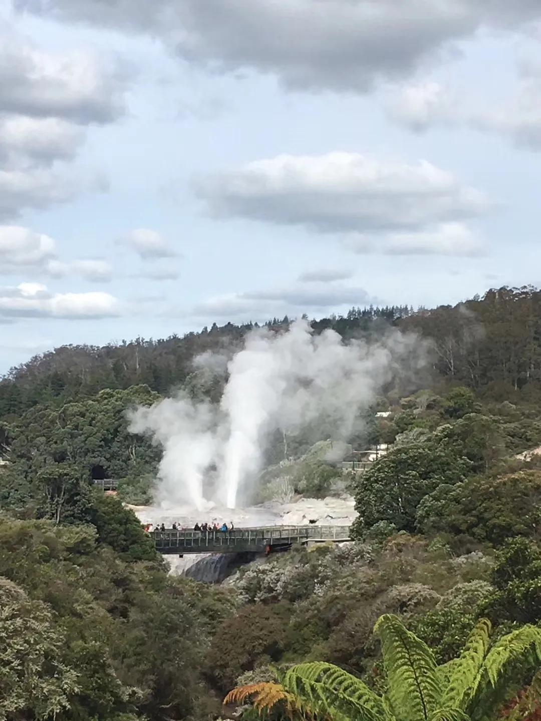 记忆中的旅行之新西兰（北岛）