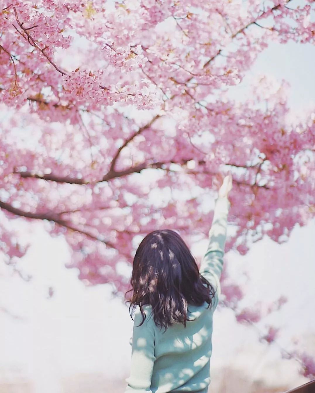 十二种镜头拍照方式,害怕镜头是什么症状