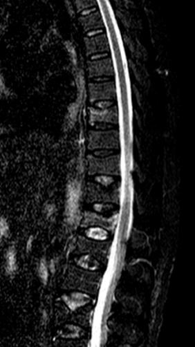 金杯银杯不如观众的口碑,金杯银杯不如患者的口碑