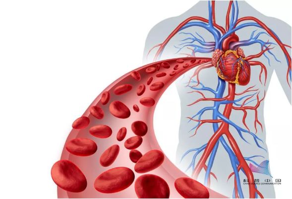 中国科协到底干什么的,中国最新号外新闻