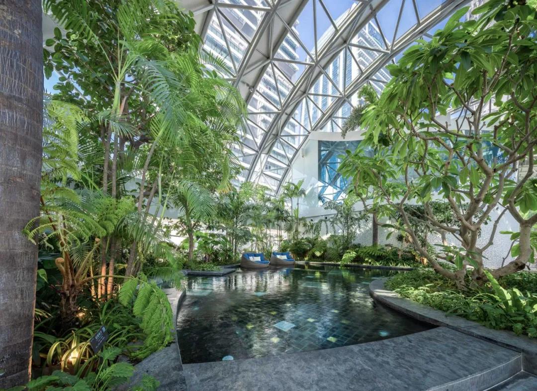 夏日泳池风景,夏日玩水胜地无边际泳池