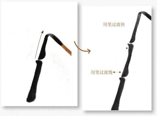 国画基础教程竹子的画法,竹子国画画法教程