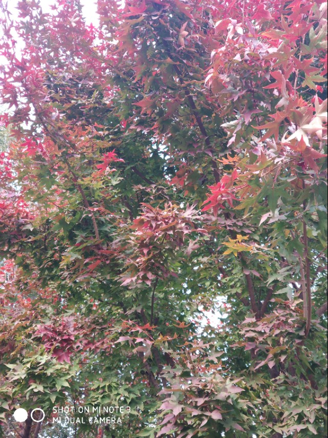 邢台市旅游景点免门票,河北邢台旅游景点排名榜最新图片