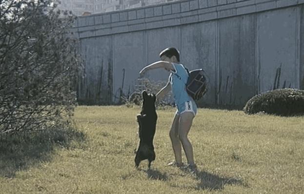 霹雳贝贝王莹多大了,1988年霹雳贝贝谁演的