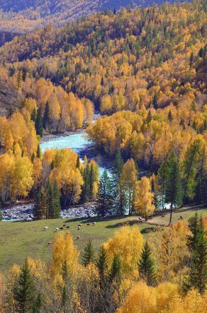 北疆四季,北疆的四季美景