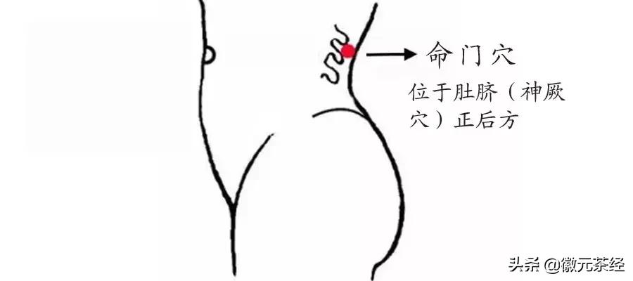 踏雪寻梅腊梅,踏雪寻梅红梅傲雪