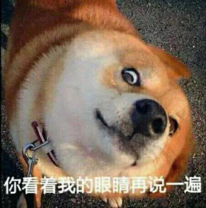 公认最好用的10大眼霜性价比超高,2020年什么眼霜最好