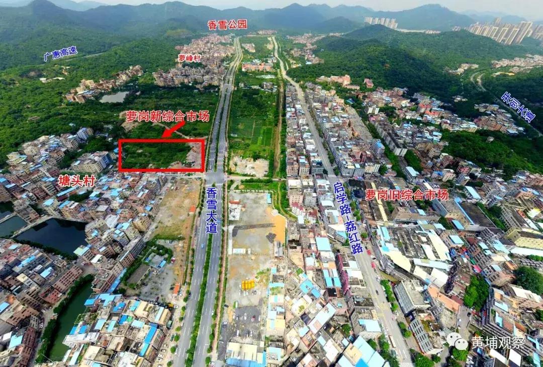 黄埔萝岗大型农贸综合批发市场,广州市萝岗区最大的综合市场