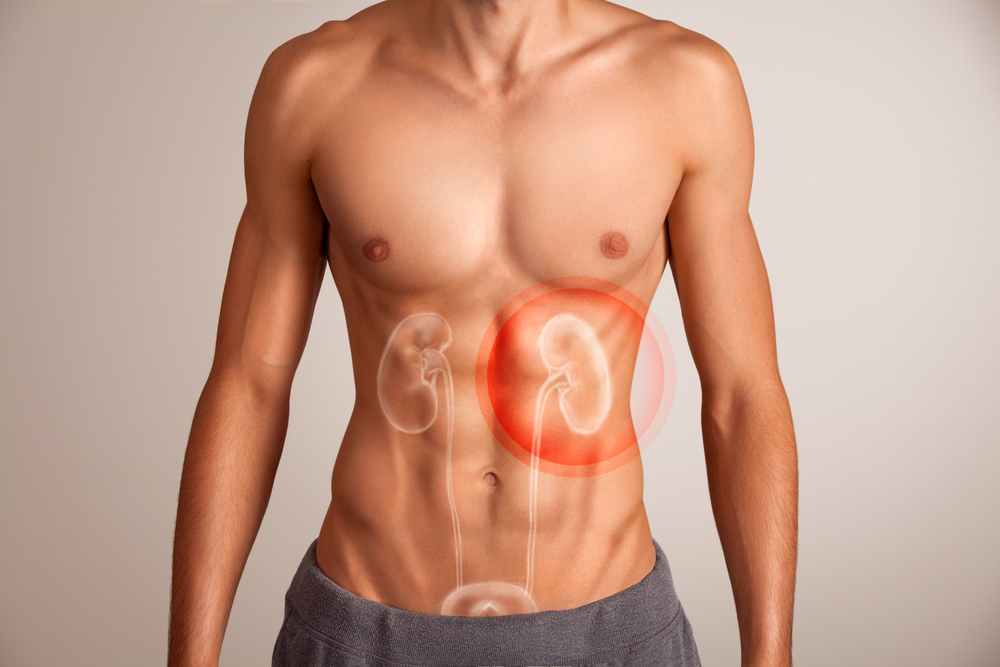 肾虚脾气弱的人有哪些症状,肾虚身体的症状及表现