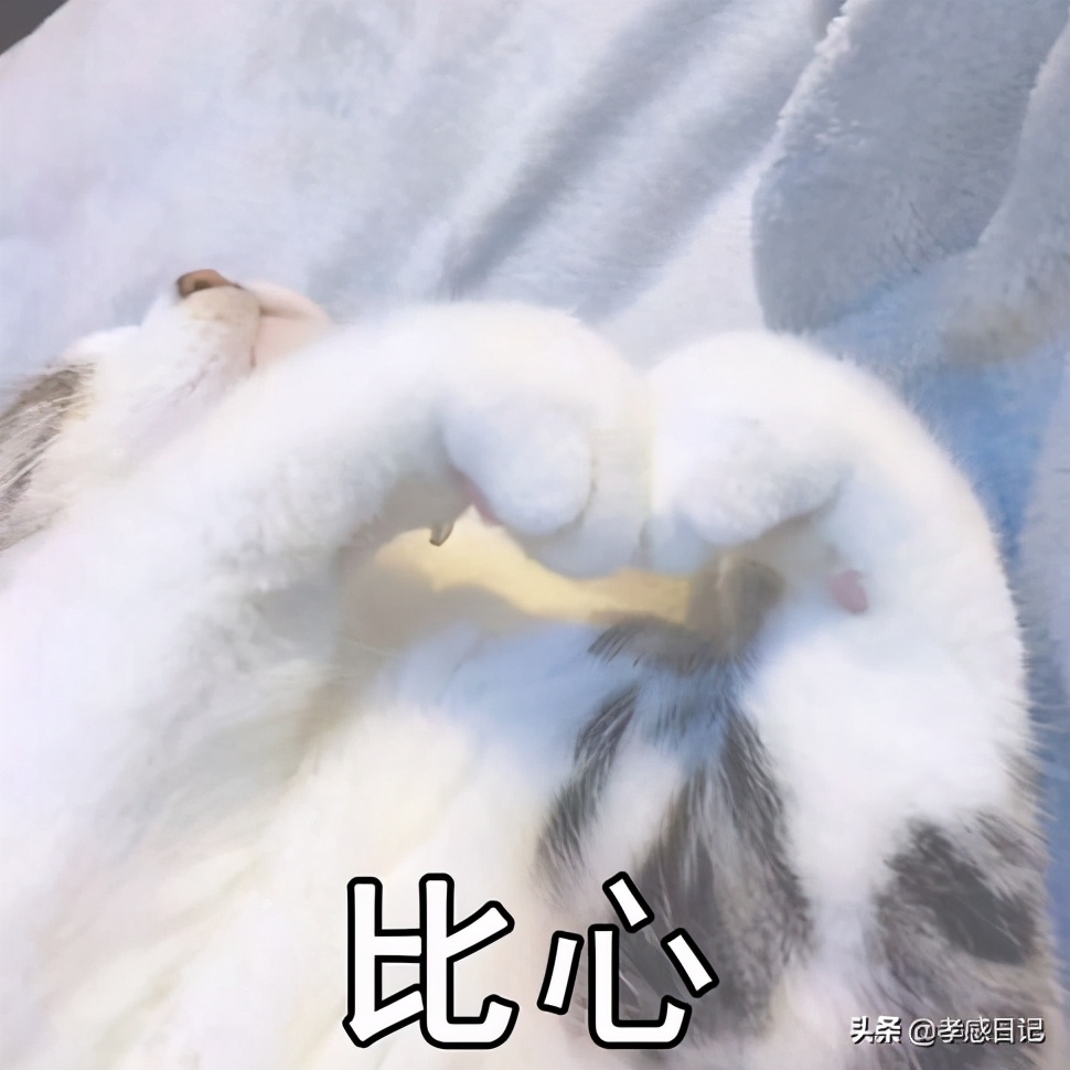 湖北孝感高级中学最新消息,孝感高级中学将进行大改造