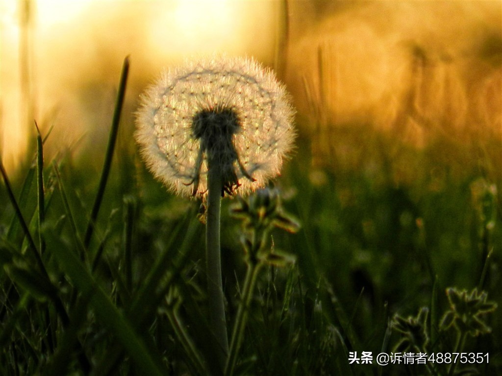 【我，25岁，女艾滋病患者，想和这个世界谈谈】