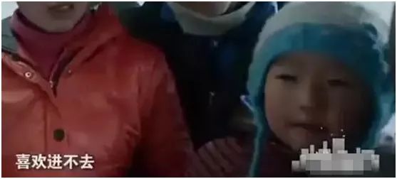 学养天鹅的技术,学养天鹅技术