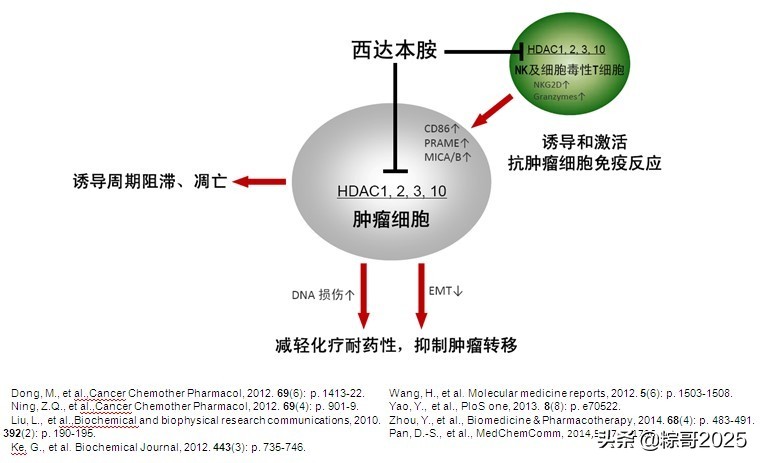 微芯生物商业化,微芯生物最新分析