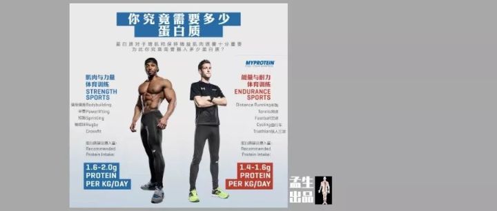 高蛋白粉有什么功效,蛋白粉有什么副作用