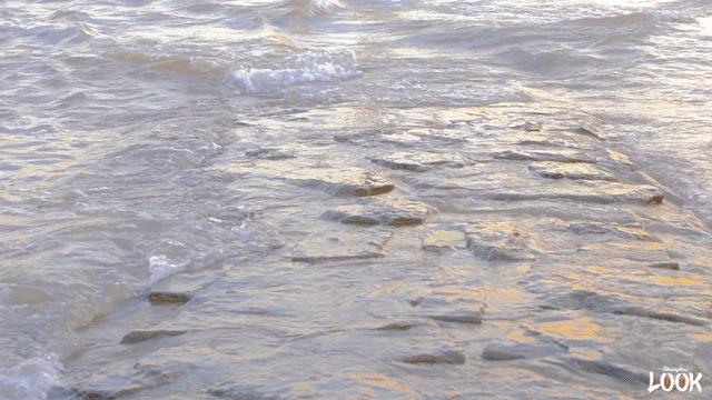 上海浦东被低估的板块,上海崇明区落后吗