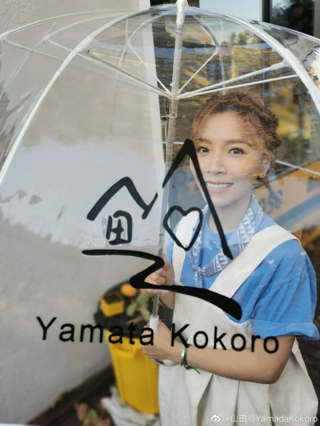 城市版的李子柒,李子柒真实的豪宅变化